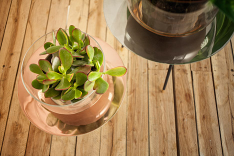 Narcissus vases by new craft