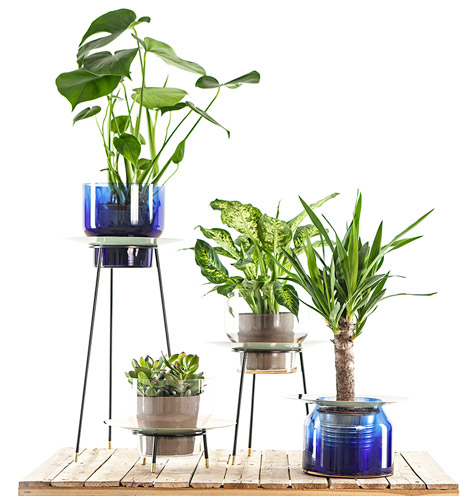 Narcissus vases by new craft