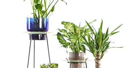 Narcissus vases by new craft