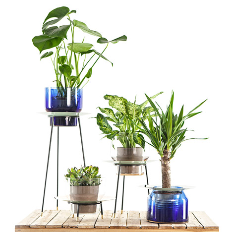Narcissus vases by new craft