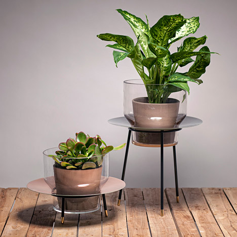 Narcissus vases by new craft