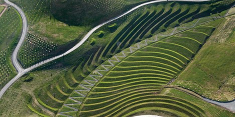 The National Arboretum Canberra by Taylor Cullity Lethlean and Tonkin Zulaikha Greer Architects