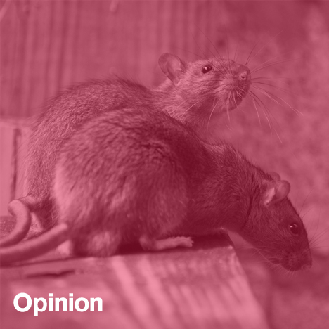 “A city is more than just the sum of its previous behaviours”