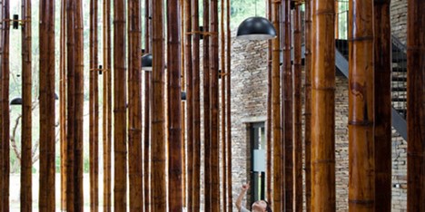 Dezeen Mail #225
