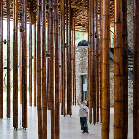 Dezeen Mail #225