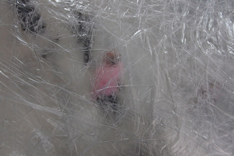 Tape Paris by Numen / For Use