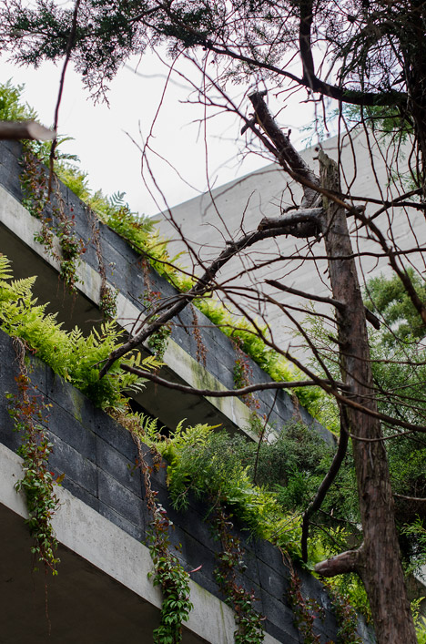 Casa BC by 3archlab