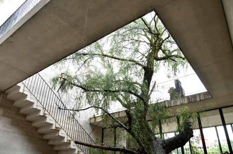 Casa BC by 3archlab