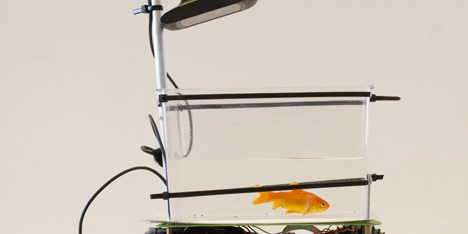 Fish on Wheels by Studio Diip