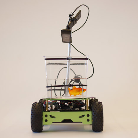 Fish on Wheels by Studio Diip
