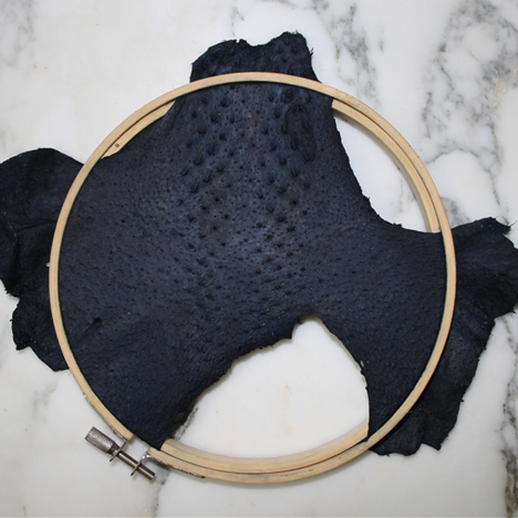 Geese Project by Vera Knoot