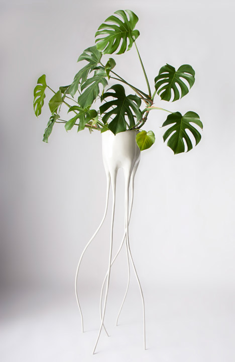 Monstera plant pots by Tim van de Weerd