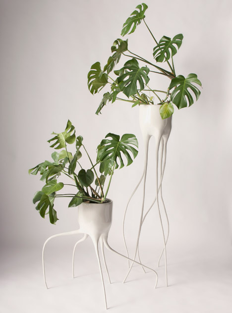 Monstera plant pots by Tim van de Weerd