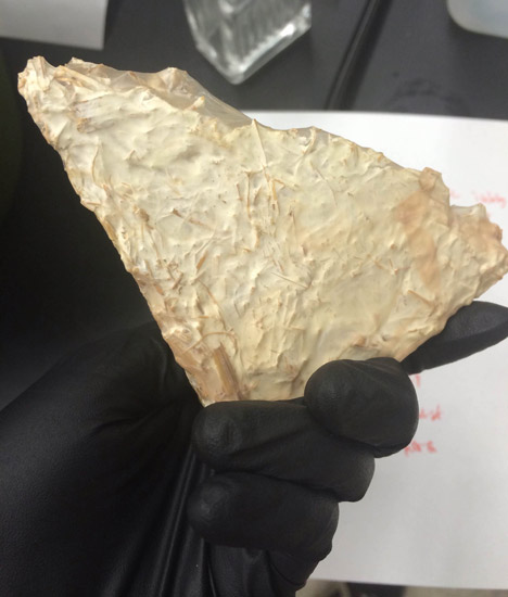 Mycelium biological drone