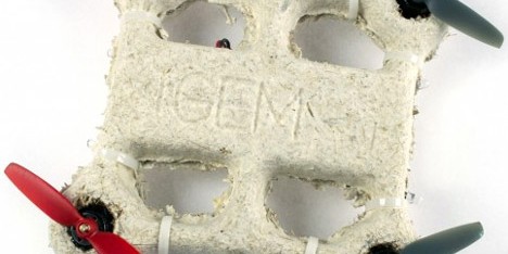 Mycelium biological drone