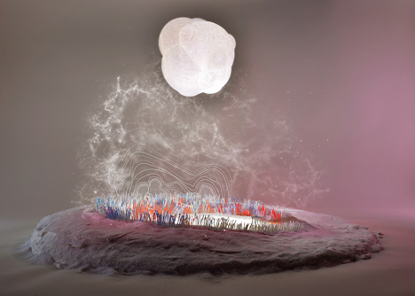 New Energy Landscapes by Sean Lally