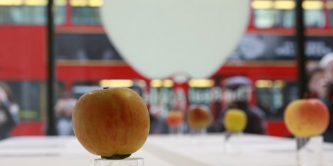 Real Apple Store at Borough Market