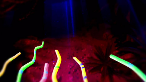 The Heart's Desire music video by Conor Finnegan for Jape