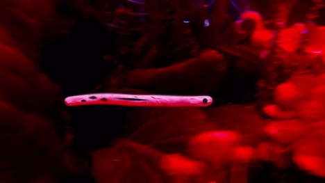 The Heart's Desire music video by Conor Finnegan for Jape