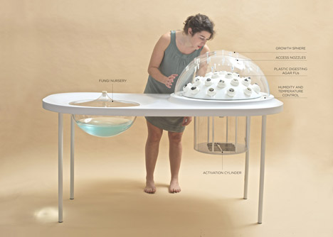 Fungi Mutarium by Katharina Unger