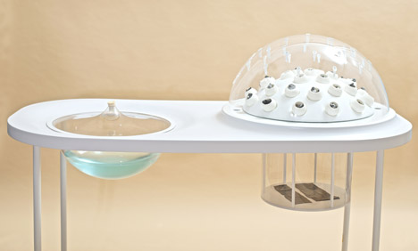 Fungi Mutarium by Katharina Unger