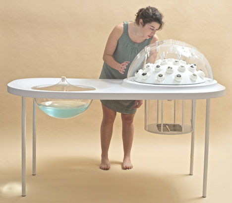Fungi Mutarium by Katharina Unger