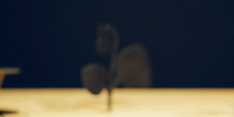 Ephemerā by Mischer'Traxler for Perrier-Jouet