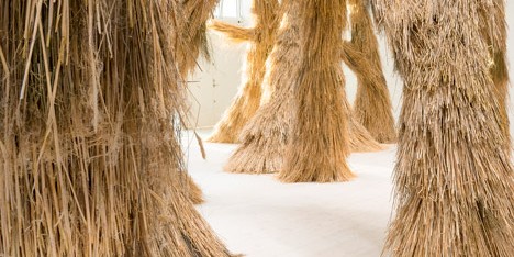 Woods Installation by the Campanas Brothers