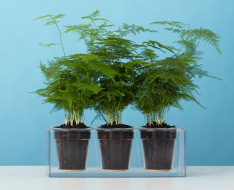 Cube plant pot by Boskke