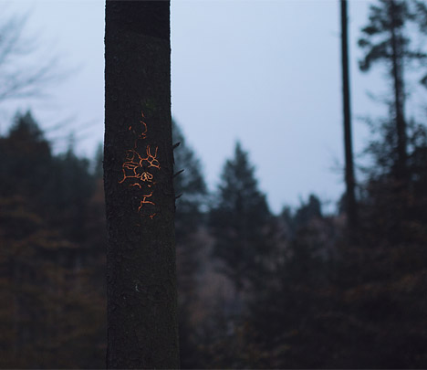 Bioluminescent Forest by Tarek Mawad and Friedrich van Schoor