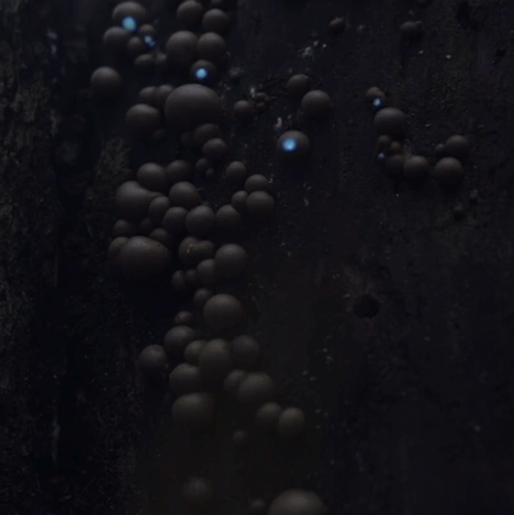 Bioluminescent Forest by Tarek Mawad and Friedrich van Schoor