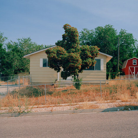 Box Elder by Anthony Gerace