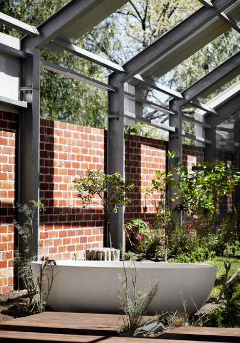 Cut Paw Paw House by Andrew Maynard