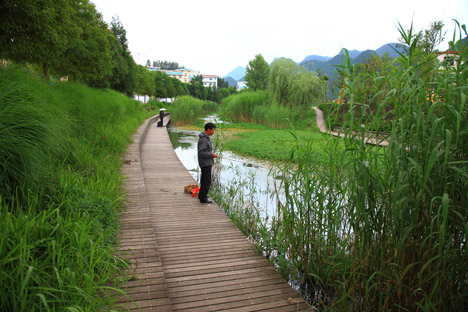 Minghu Wetland Park by Turenscape