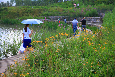 Minghu Wetland Park by Turenscape