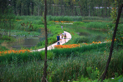 Minghu Wetland Park by Turenscape