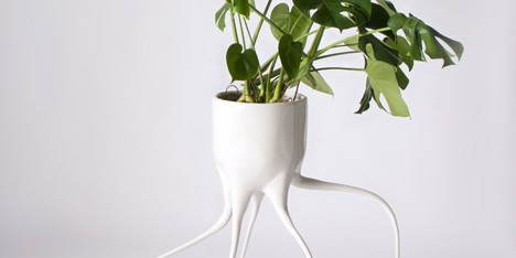 Monstera plant pots by Tim van de Weerd