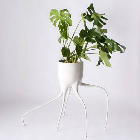 Monstera plant pots by Tim van de Weerd