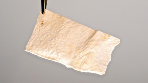 Textlile sample made from mycelium by Officina Corpuscoli