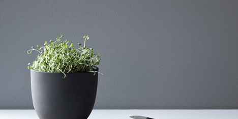 Grow Pot by Hallgeir Homstvedt for Menu
