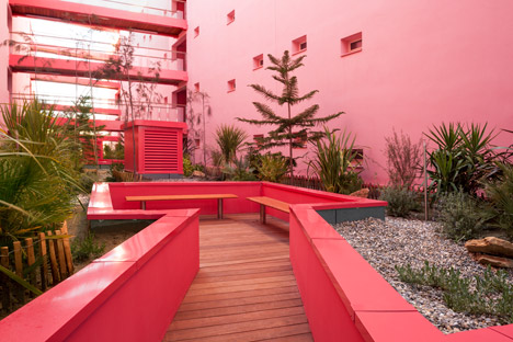 Redline by Pietri Architectes