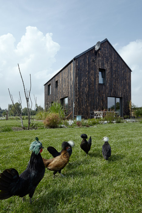 The Carbon by Mjölk Architekti