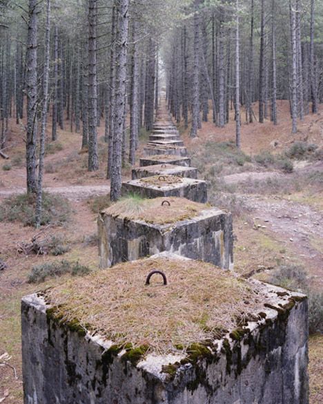 The Last Stand by Marc Wilson