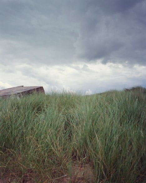 The Last Stand by Marc Wilson
