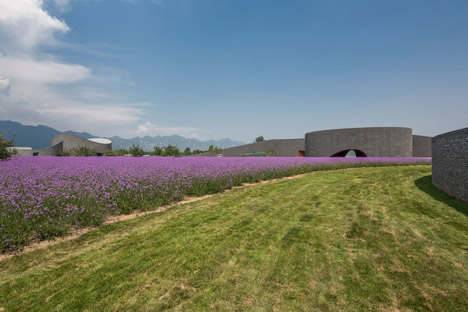 Yanqing Grape Expo by Studio Archea
