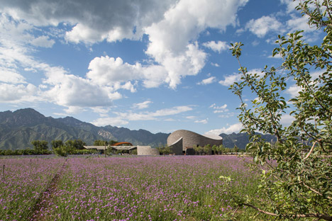 Yanqing Grape Expo by Studio Archea