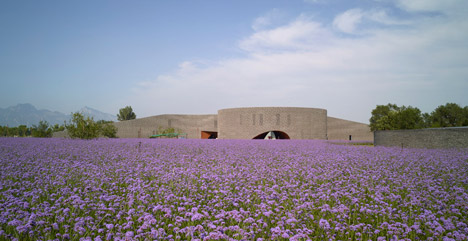 Yanqing Grape Expo by Studio Archea