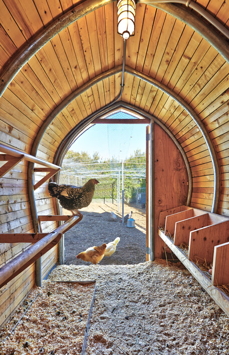 Chicken-Coop-by-Architecture-Research-Office_dezeen_468_6