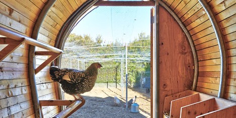 Sheffer Chicken Coop is a metal-clad New York home for eight hens