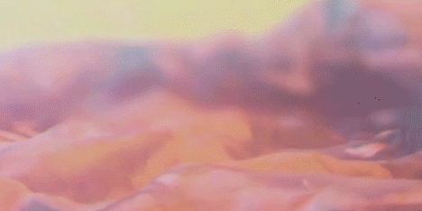 Photos of cabbage and plastic bags used to create fantastical alien landscapes in TSVI music video